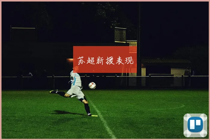 苏超新援表现