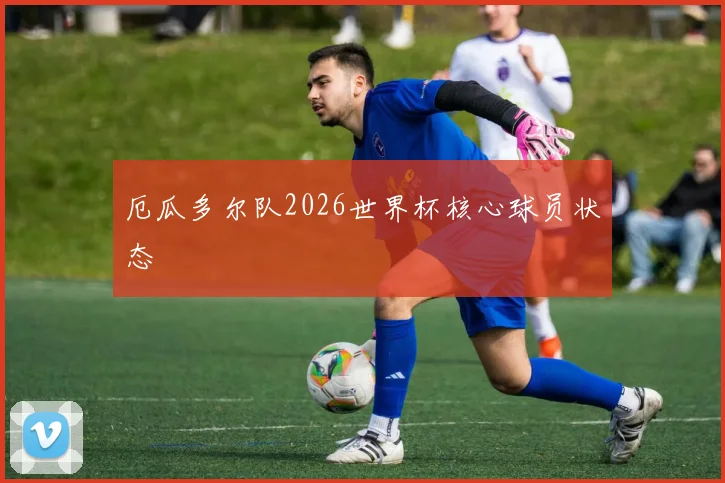 厄瓜多尔队2026世界杯核心球员状态
