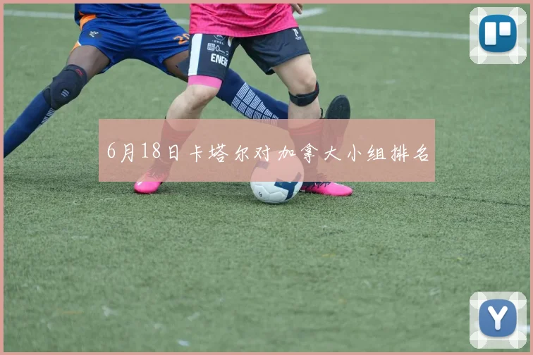 6月18日卡塔尔对加拿大小组排名